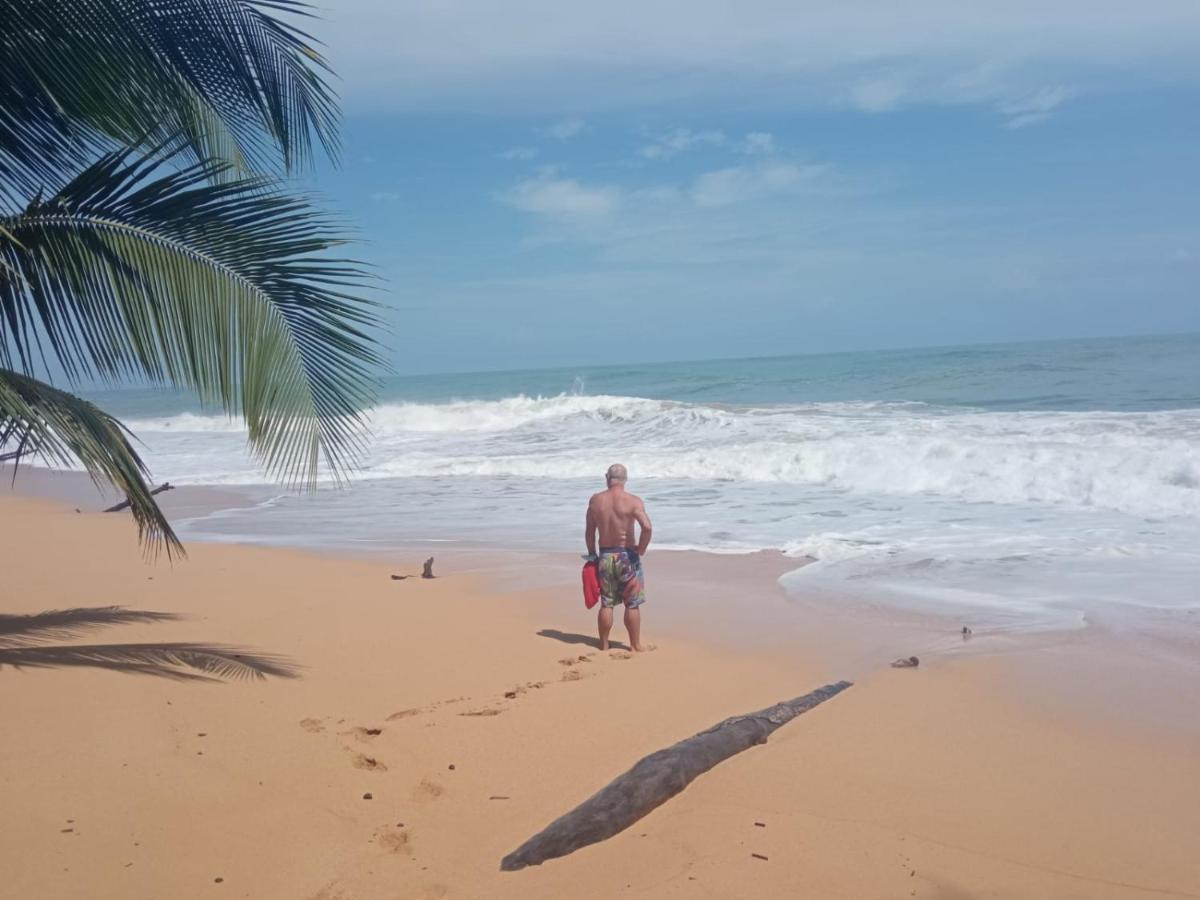 Bed and Breakfast La Luciernaga Big Creek Bocas del Toro Exterior foto