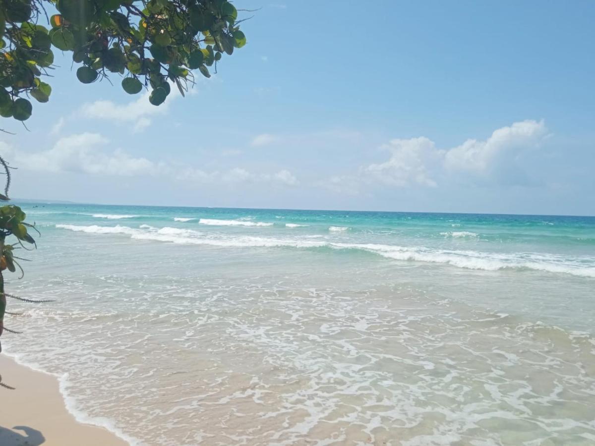 Bed and Breakfast La Luciernaga Big Creek Bocas del Toro Exterior foto