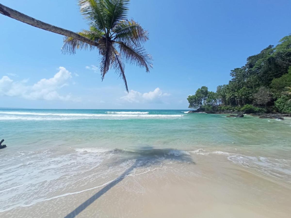 Bed and Breakfast La Luciernaga Big Creek Bocas del Toro Exterior foto